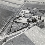 Wini_Friedhof_um_1957
