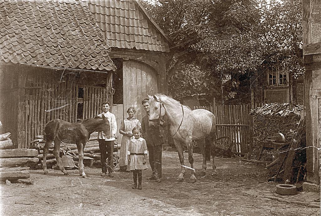 Original image