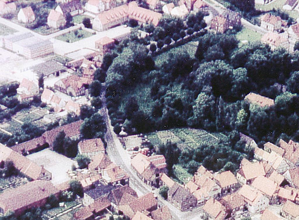 Original image